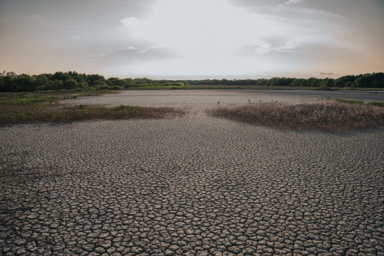Cat Bonds in Africa: discover how catastrophe bonds can finance climate resilience, close the protection gap and mobilise capital markets. Read the white paper.